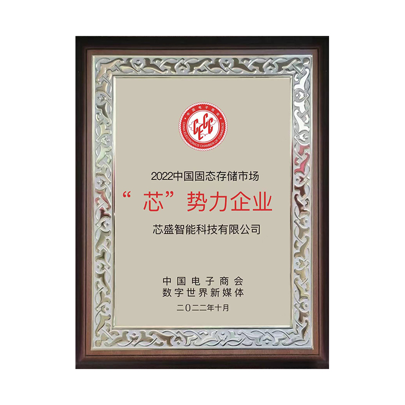 2022中国固态存储市场“芯”势力企业